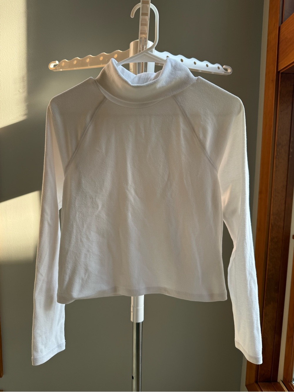 Aritzia Turtleneck